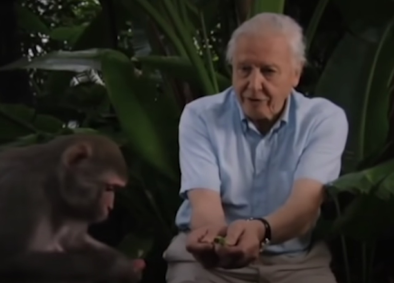 David Attenborough’s net worth, age, wife and quotes