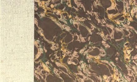 Alex Consani – Net Worth, Transgender Supermodel, Wiki & Biography 2026