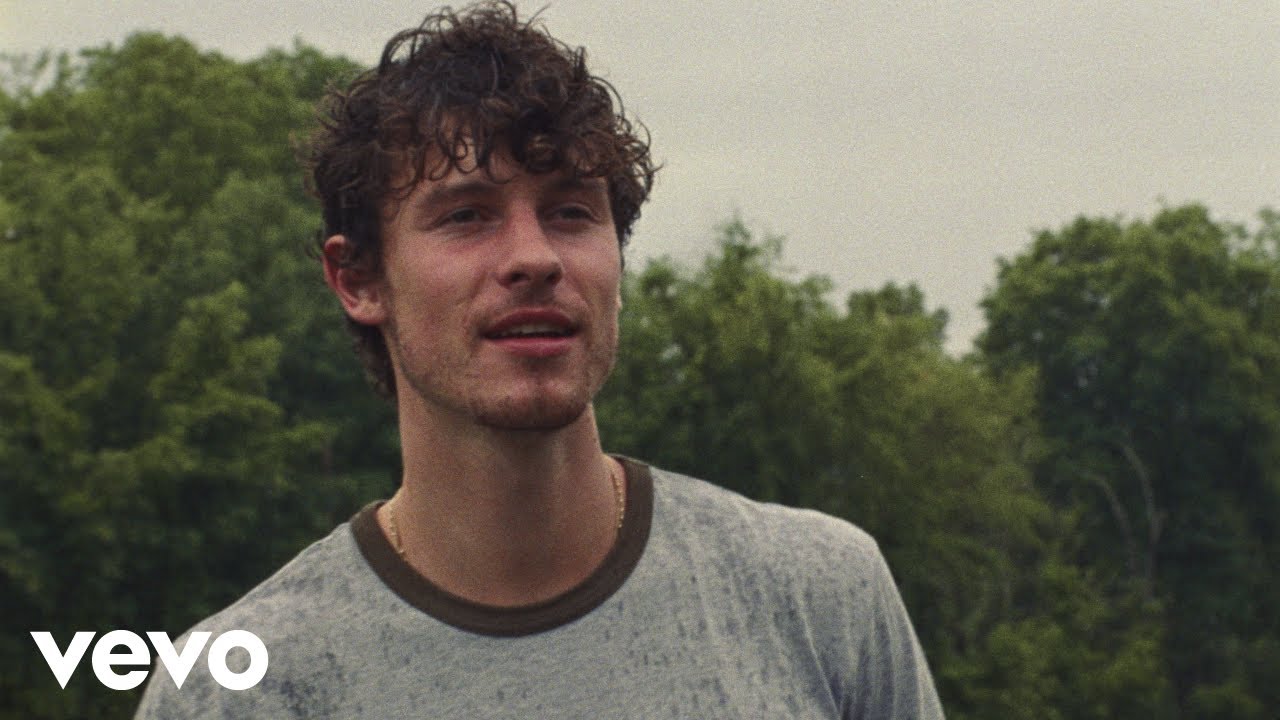 Shawn Mendes Why Why Why 2024 official video