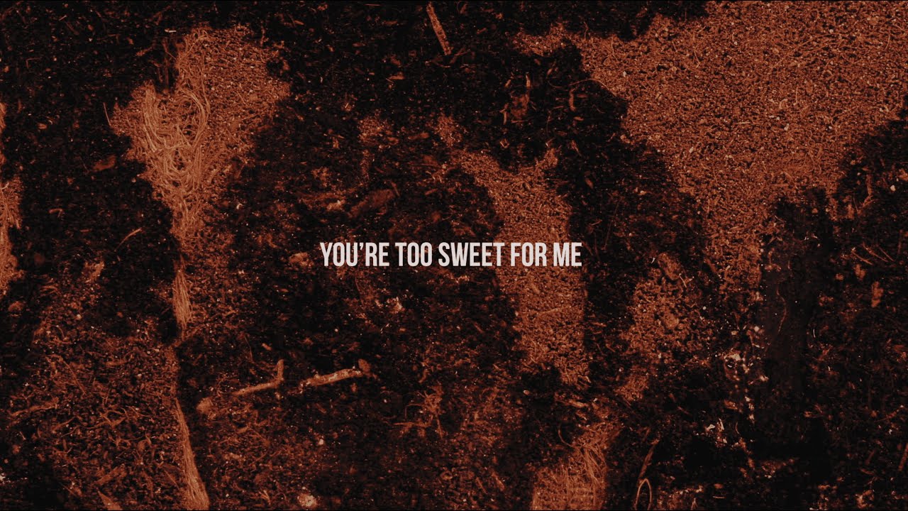 Hozier Too Sweet lyric video 2024