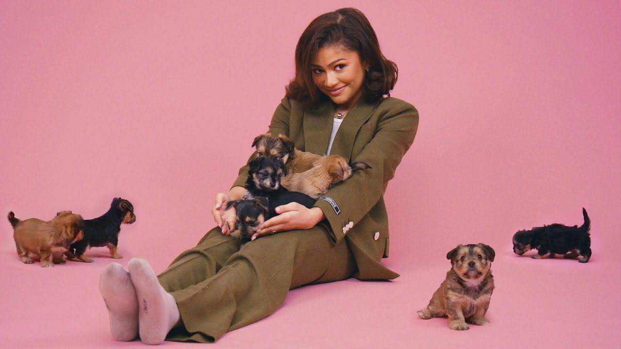Zendaya puppy interview personality off-screen