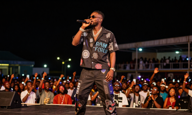 Fireboy DML Net Worth 2026: How Peru and Ed Sheeran Built a $3M Afrobeats Fortune